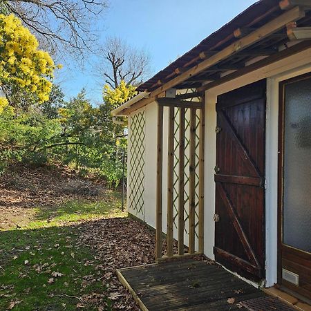 La Petite Maison Du Lac Biscarrosse Eksteriør bilde