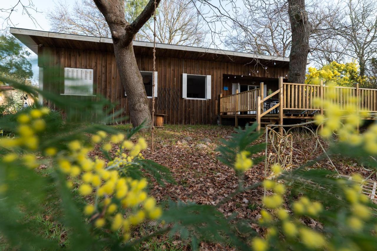 La Petite Maison Du Lac Biscarrosse Eksteriør bilde